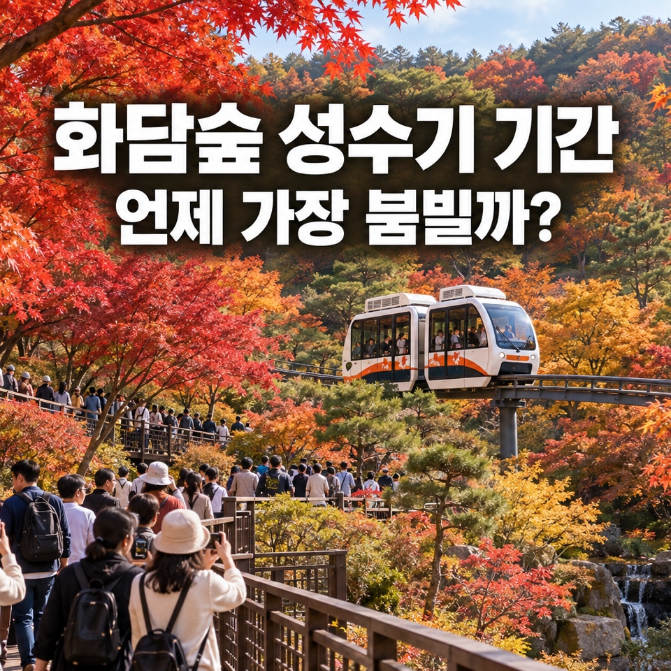화담숲 성수기 기간의 붉은 단풍과 모노레일, 산책로를 가득 메운 방문객을 표현한 대표 이미지