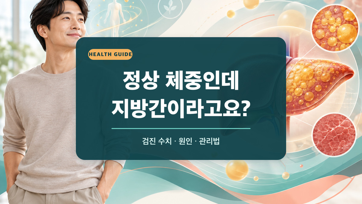 정상 체중인 중년 남성과 지방이 쌓인 간을 함께 보여주는 대사이상 지방간 안내 이미지