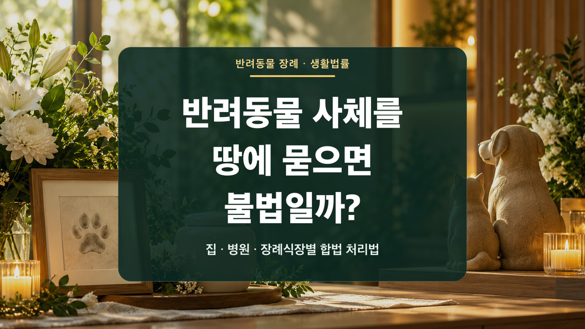 반려동물 추모 공간을 배경으로 반려동물 사체 매장과 합법 처리 방법을 안내하는 대표 이미지