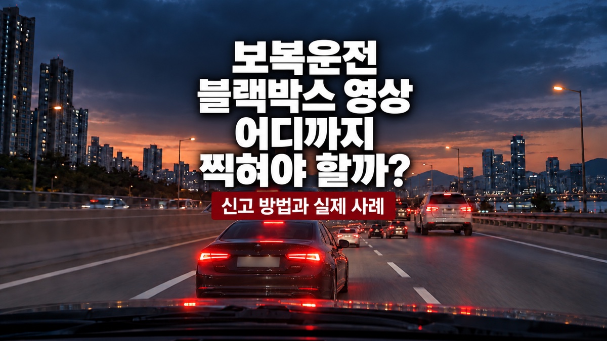 도심 도로에서 앞 차량이 급제동한 블랙박스 시점과 보복운전 블랙박스 영상 어디까지 찍혀야 할까라는 제목